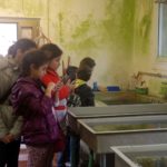visita incubatoio